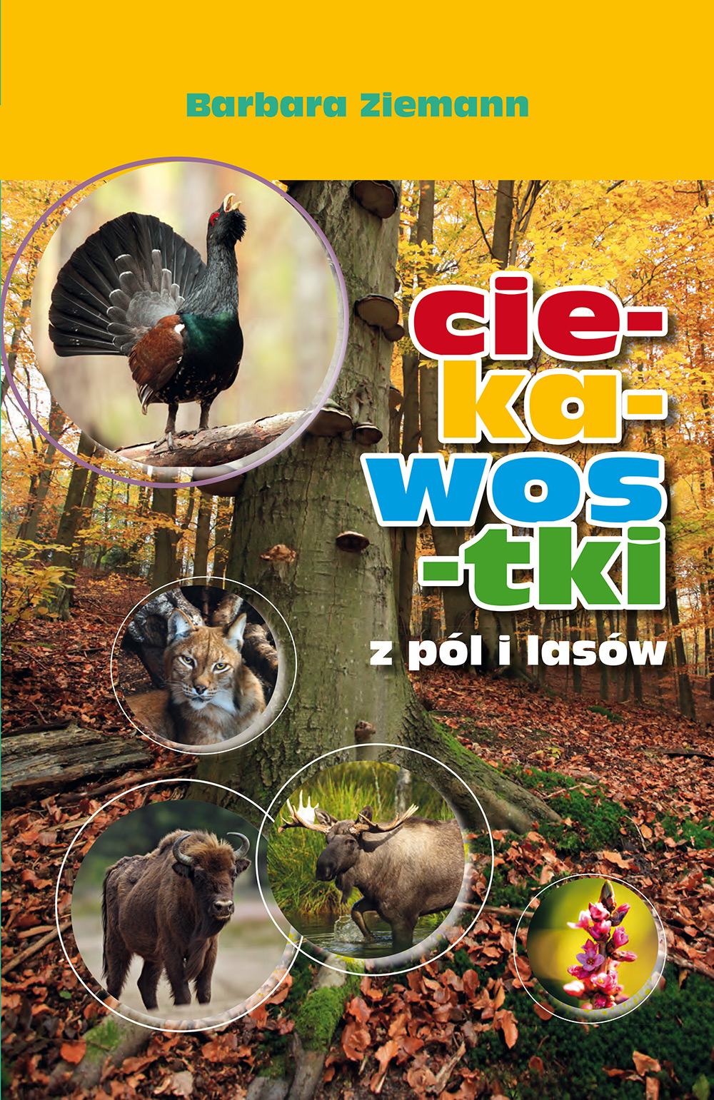 Ciekawostki z pól i lasów 2