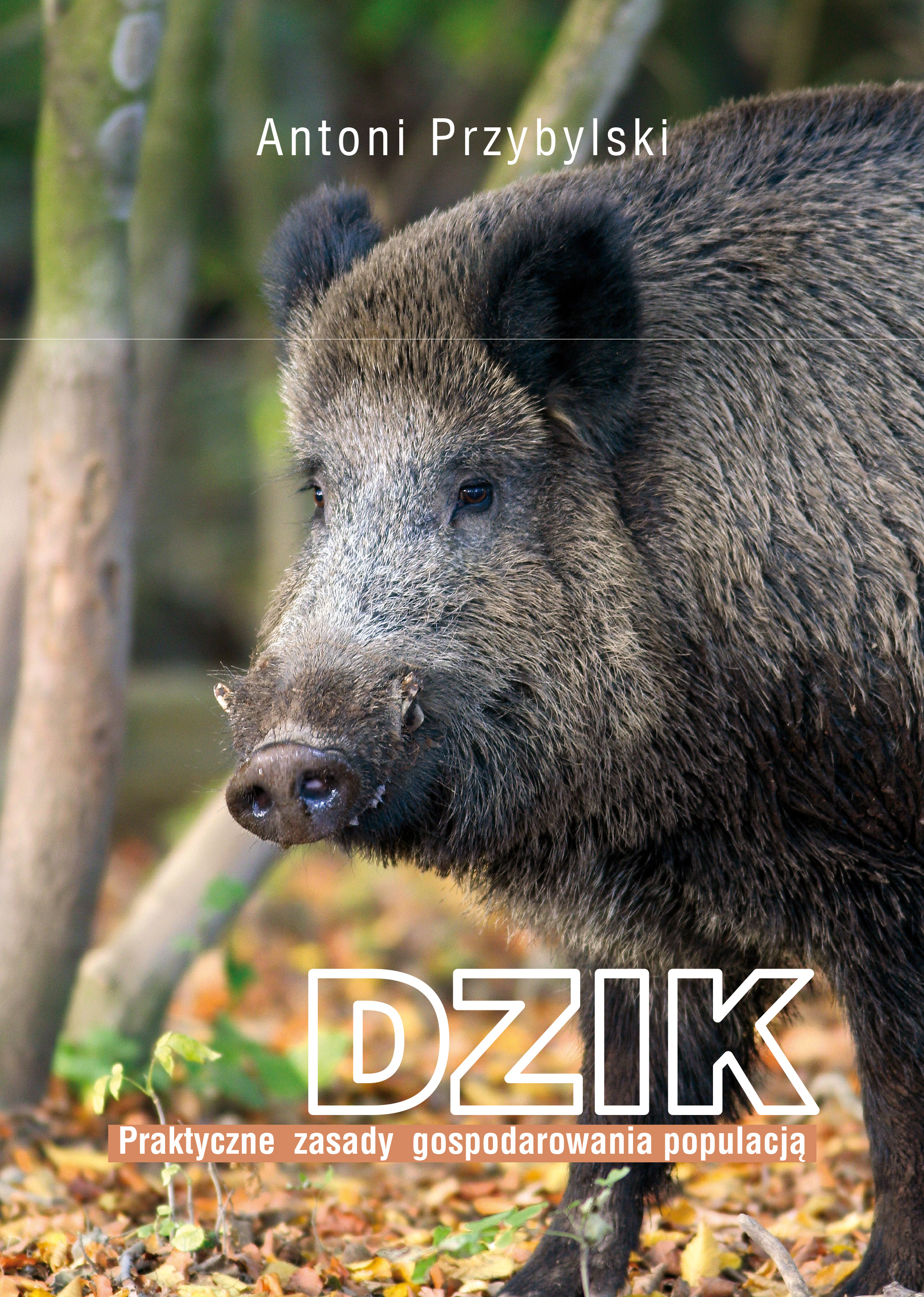 Dzik